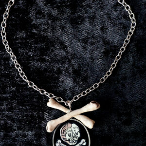 Collar 1